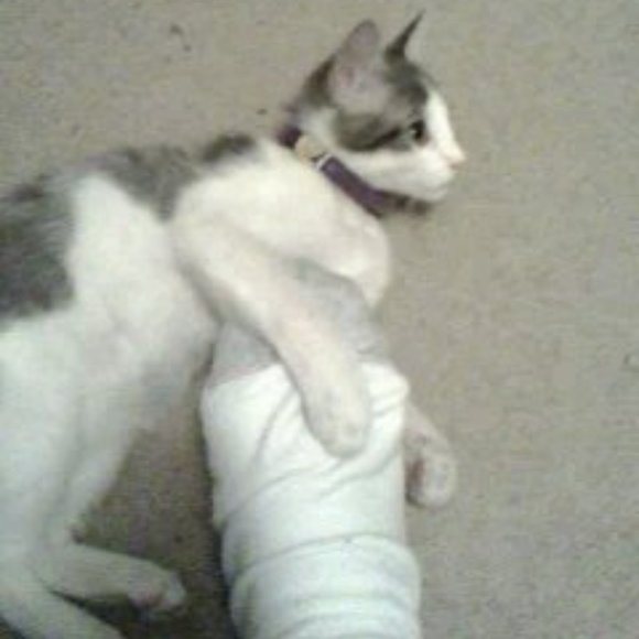 Meet your Posher, Lisa - Picture 2 of 16